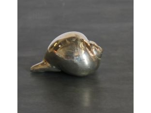Shell Dome