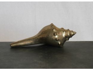Shell Long