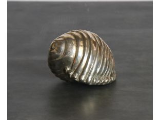 Shell Sleret